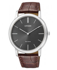 Đồng hồ Citizen AR1110-11H