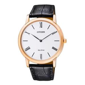 Đồng hồ Citizen nam Eco-Drive AR1113-12B (AR1113-12A)