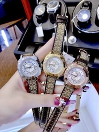 Đồng hồ Coach nữ dây da Coach New York Delancey Leather Watch 36mm