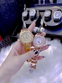 Đồng hồ Coach nữ đính đá Coach New York BoyFriend Diamond Steel 36mm