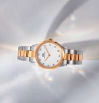 Đồng hồ Daniel Wellington Iconic Demi phiên bản mới 2020 – Đồng hồ DW i5