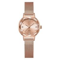 Đồng hồ đeo tay Starking - TL0945MS33