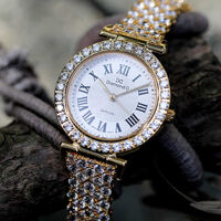 Đồng hồ Diamond D DM4633B5IG