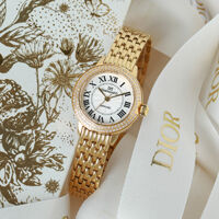 Đồng hồ Diamond D DM61195IG