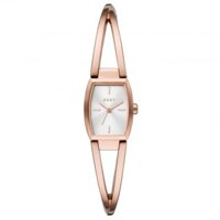 Đồng hồ DKNY 22 mm Nữ NY2937