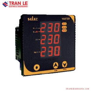 Đồng hồ đo đa năng Selec VAF39