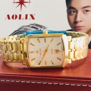 Đồng hồ đôi Aolix AL9099