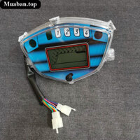 Đồng hồ mặt xanh dành cho xe Sirius