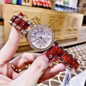 Đồng hồ Michael Kors MK5842