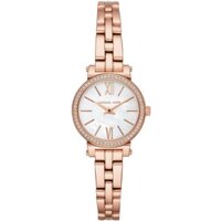 Đồng Hồ Michael Kors Nữ MK3834 26mm