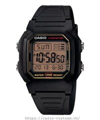Đồng Hồ Nam Chính Hãng CASIO W-800HG-9AV