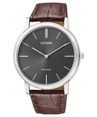 Đồng Hồ Nam Chính Hãng CITIZEN Eco-Drive AR1110-11H