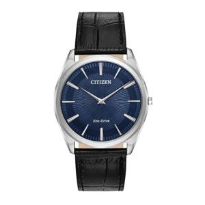 Đồng hồ nam Citizen AR3070-04L