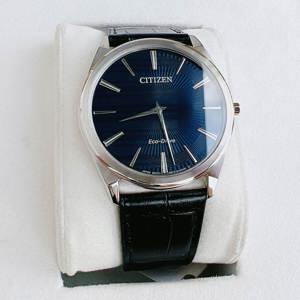 Đồng hồ nam Citizen AR3070-04L