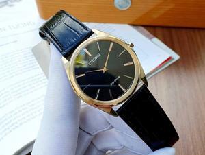 Đồng hồ nam Citizen AR3073-06E