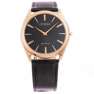 Đồng hồ nam Citizen AR3073-06E