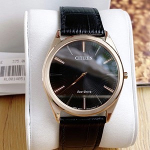 Đồng hồ nam Citizen AR3073-06E