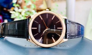 Đồng hồ nam Citizen AR3073-06E