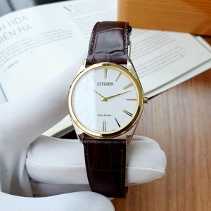 Đồng hồ nam Citizen AR3074-03A