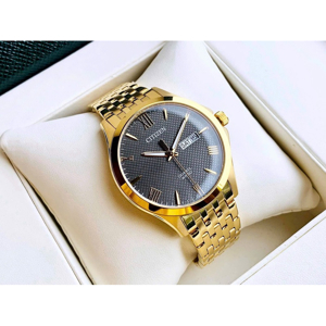 Đồng hồ nam Citizen BF2022