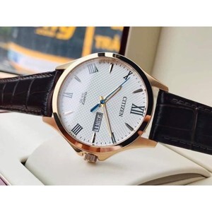 Đồng hồ nam Citizen BF2024-50L