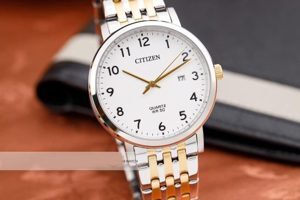 Đồng hồ nam Citizen BI5076