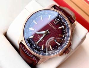 Đồng hồ nam Citizen BX1009
