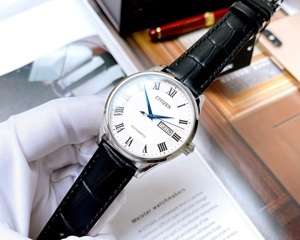 Đồng hồ nam Citizen NH8360-12A