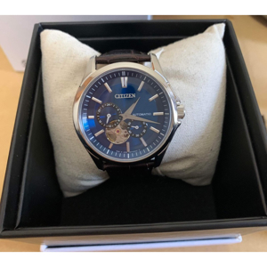 Đồng hồ nam Citizen NP1010-01L