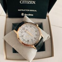 Đồng hồ nam Citizen  AO9003-16A - Máy Quartz Pin  Eco-Drive năng lượng ánh sáng xạc pin