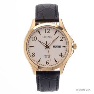 Đồng hồ nam dây kim loại Citizen BF2003