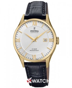 Đồng hồ nam Festina F20010