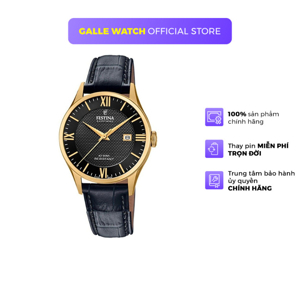 Đồng hồ nam Festina F20010