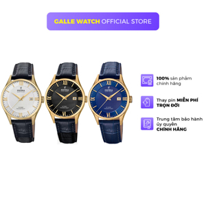 Đồng hồ nam Festina F20010
