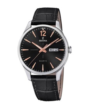 Đồng hồ nam Festina F20205