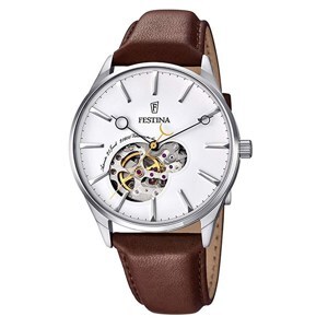 Đồng hồ nam Festina F6846