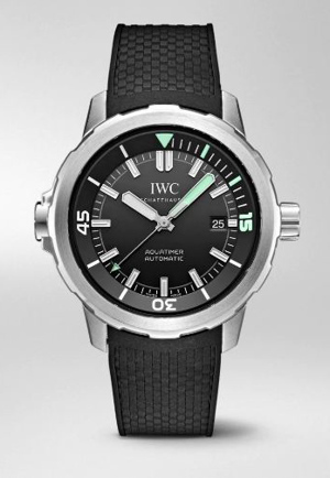Đồng hồ nam IWC IW329001