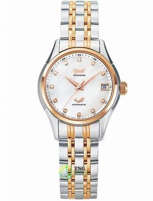Đồng hồ nam Ogival OG3356AJBSR-T