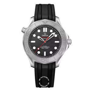 Đồng hồ nam Omega 210.32.42.20.01.002