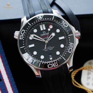 Đồng hồ nam Omega Seamaster 210.32.42.20.01.001