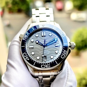 Đồng hồ nam Omega Seamaster 210.30.42.20.06.001