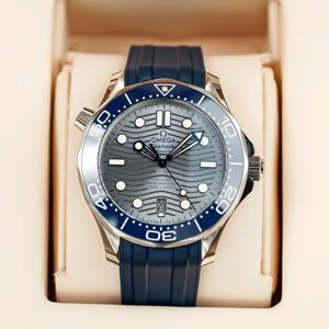 Đồng hồ nam Omega Seamaster 210.32.42.20.06.001