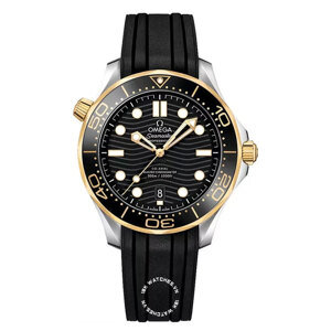 Đồng hồ nam Omega Seamaster 210.22.42.20.01.001