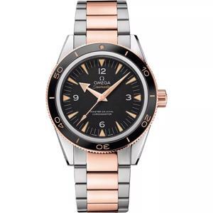 Đồng hồ nam Omega Seamaster 233.20.41.21.01.001