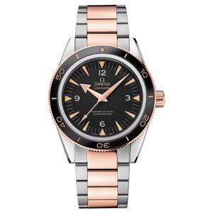 Đồng hồ nam Omega Seamaster 233.20.41.21.01.001