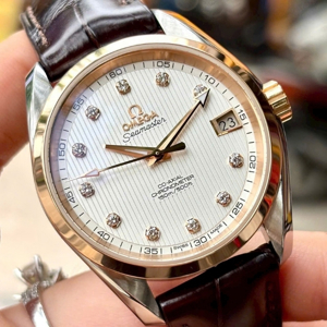 Đồng hồ nam Omega Seamaster Aqua Terra 231.20.39.21.52.003