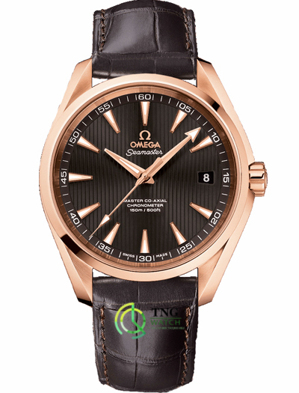 Đồng hồ nam Omega Seamaster Aqua Terra 231.53.42.21.06.002