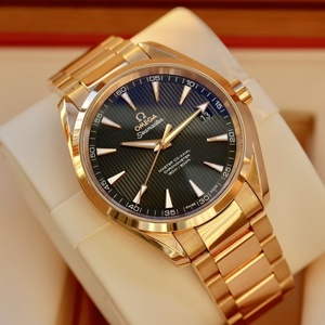 Đồng hồ nam Omega Seamaster Aqua Terra 231.50.39.21.06.003