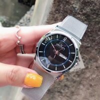 Đồng Hồ Nam Skagen SKW6078