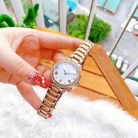 Đồng hồ nữ cao cấp CITIZEN Eco-drive EM0233-51A chính hãng